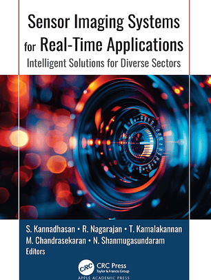 Sensor Imaging Systems for Real-Time Applications: Intelligent Solutions for Diverse Sectors 