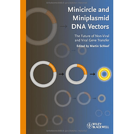  Minicircle and Miniplasmid DNA Vectors: The Future of Non-viral and Viral Gene Transfer 