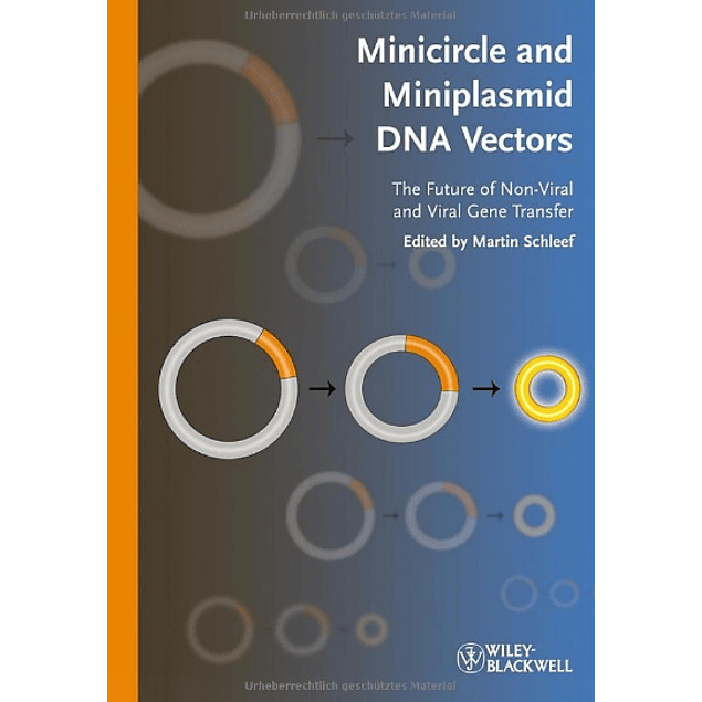  Minicircle and Miniplasmid DNA Vectors: The Future of Non-viral and Viral Gene Transfer 