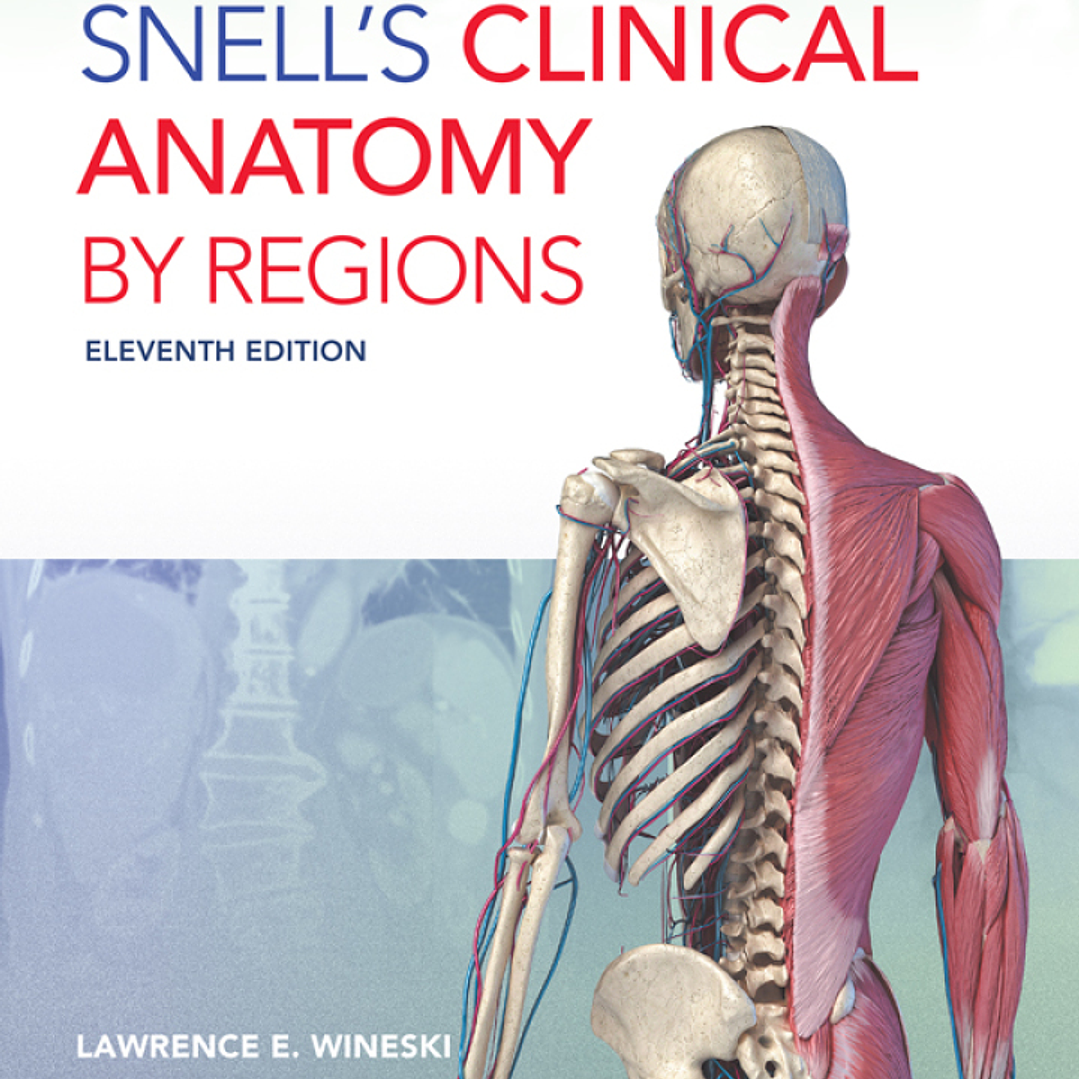 Snell's Clinical Anatomy by Regions 11th Edition 1