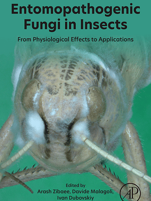 Entomopathogenic Fungi in Insects: From Physiological Effects to Applications