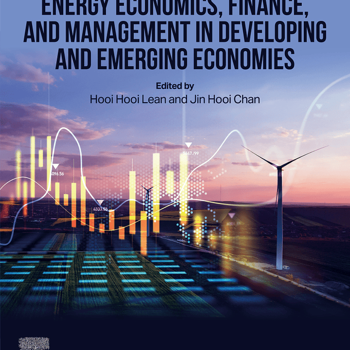 Energy Economics, Finance, and Management in Developing and Emerging Economies 1