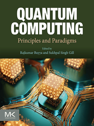 Quantum Computing: Principles and Paradigms
