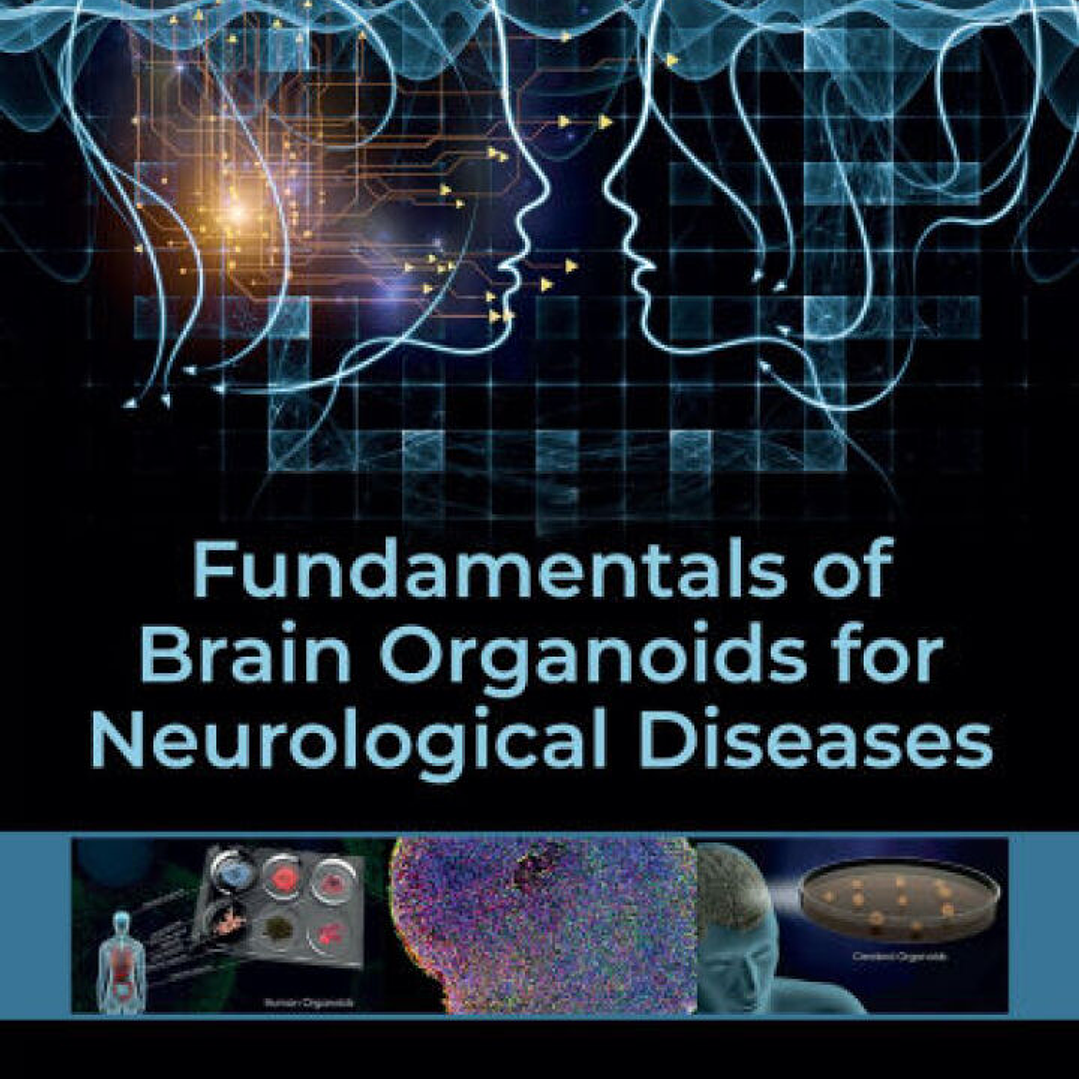 Fundamentals of Brain Organoids for Neurological Diseases 1