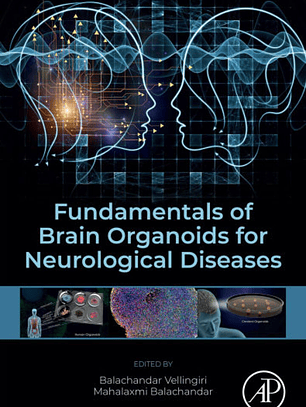 Fundamentals of Brain Organoids for Neurological Diseases