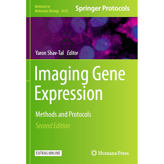 Imaging Gene Expression: Methods and Protocols