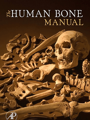 The Human Bone Manual 