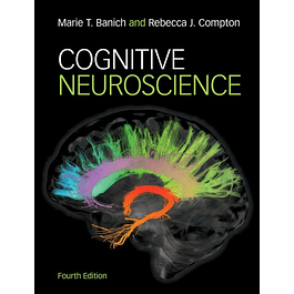  Cognitive Neuroscience 