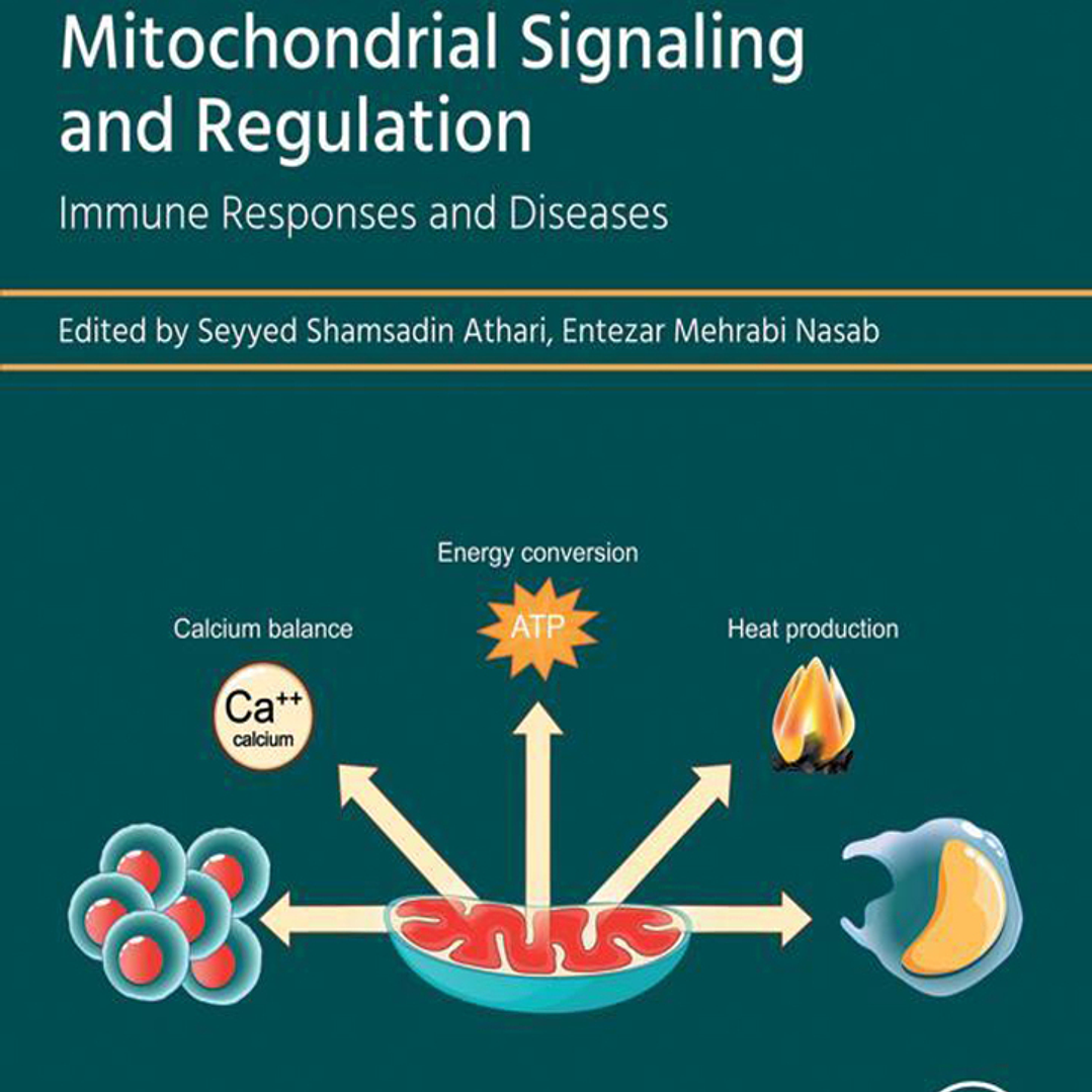 Mitochondrial Signaling and Regulation: Immune Responses and Diseases  1