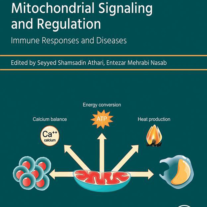 Mitochondrial Signaling and Regulation: Immune Responses and Diseases  1
