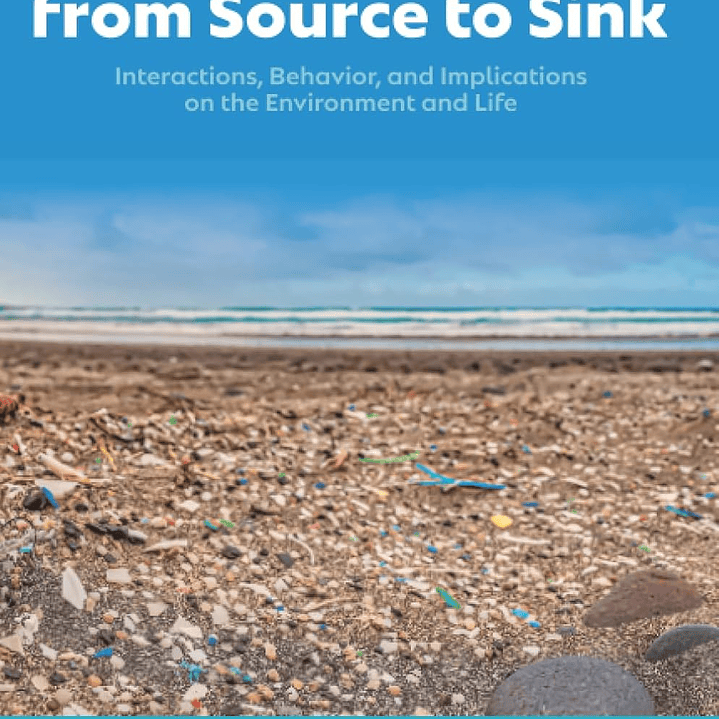 Micronanoplastics: From Source to Sink: Interactions, Behavior, and Implications on the Environment and Life 1