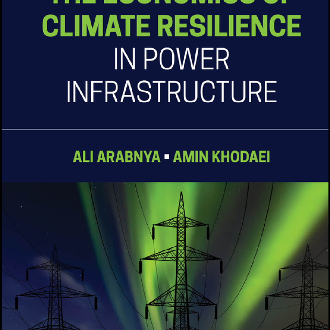 The Economics of Climate Resilience in Power Infrastructure 1