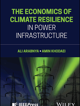 The Economics of Climate Resilience in Power Infrastructure