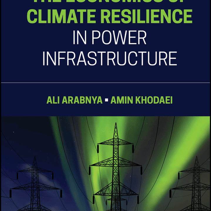The Economics of Climate Resilience in Power Infrastructure 1