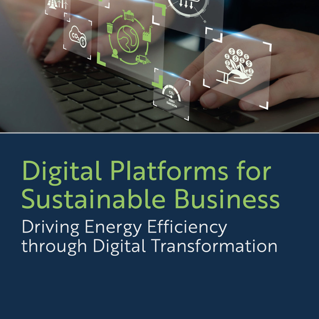 Digital Platforms for Sustainable Business: Driving Energy Efficiency through Digital Transformation 1
