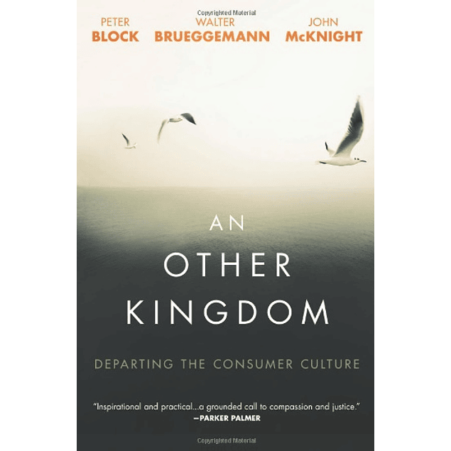  An Other Kingdom: Departing the Consumer Culture 