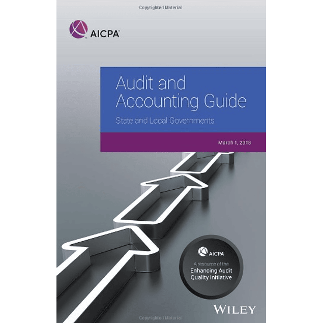 Audit and Accounting Guide: State and Local Governments