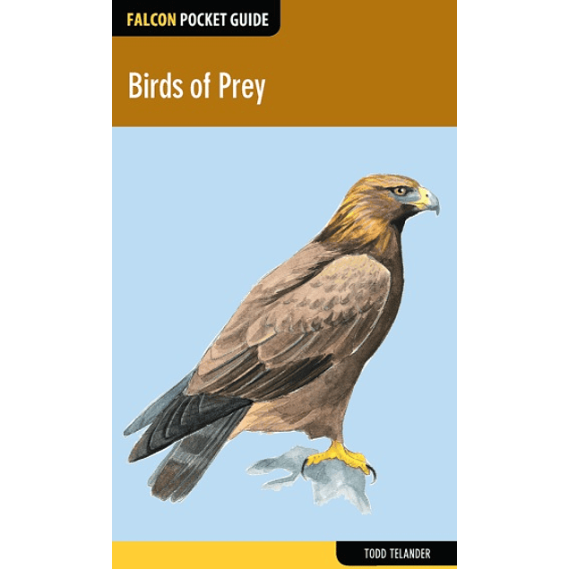 Birds of Prey 