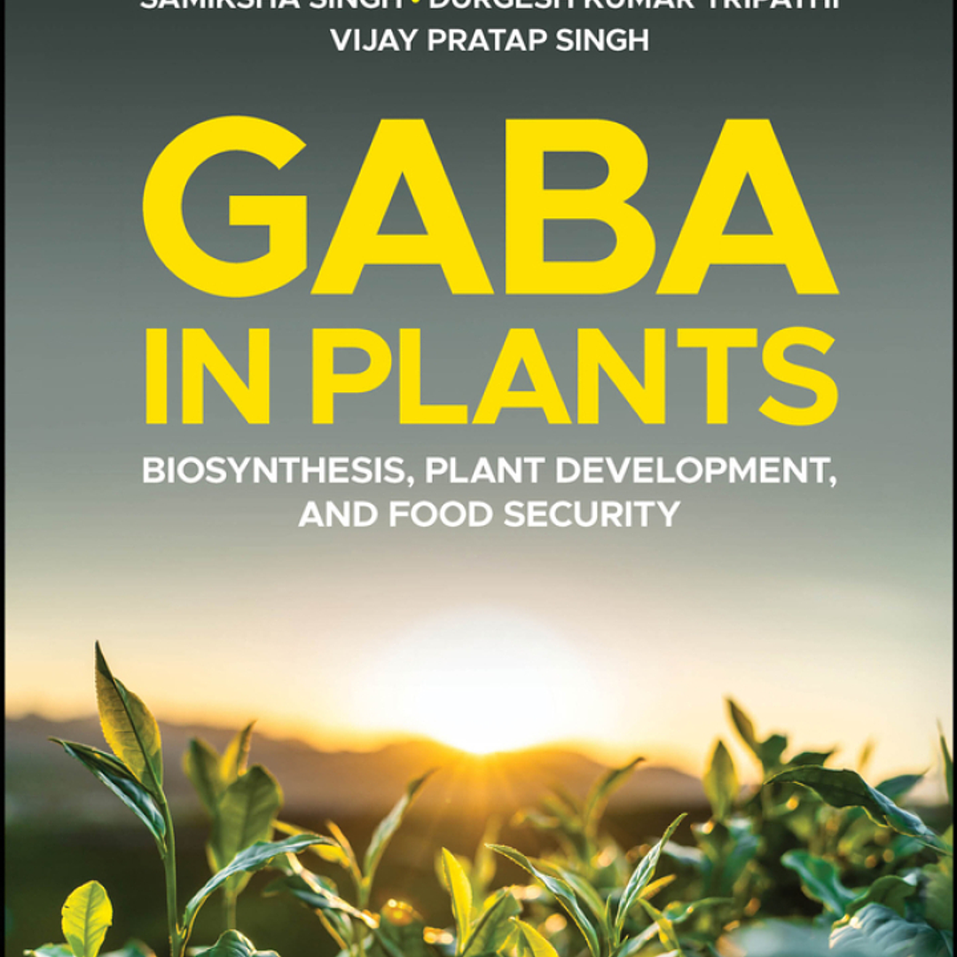GABA in Plants: Biosynthesis, Plant Development, and Food Security 1