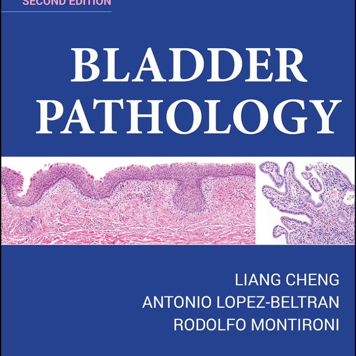 Bladder Pathology 2nd Edition 1
