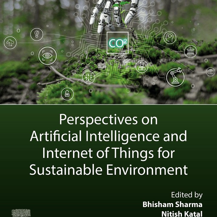 Perspectives on Artificial Intelligence and Internet of Things for Sustainable Environment 1