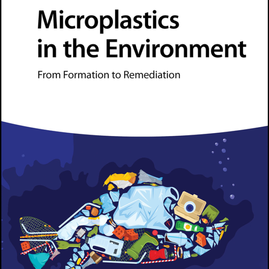 Microplastics in the Environment: From Formation to Remediation 1