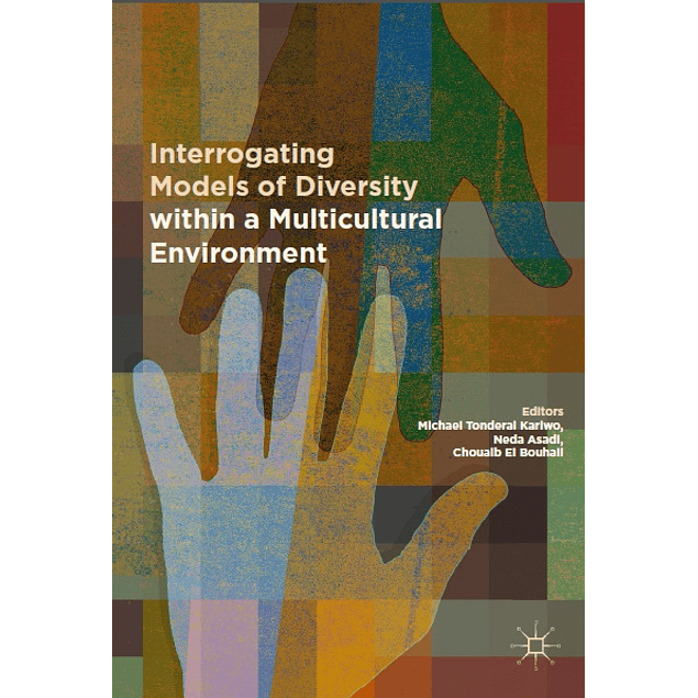 Interrogating Models of Diversity within a Multicultural Environment