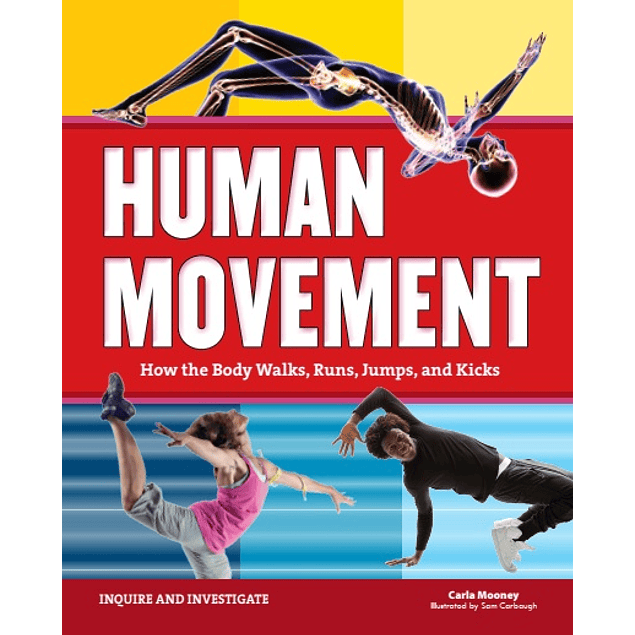 Human Movement: How the Body Walks, Runs, Jumps, and Kicks
