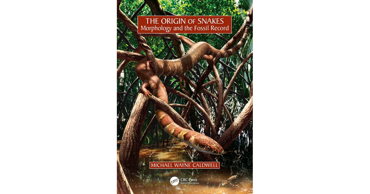 The Origin of Snakes: Morphology and the Fossil Record