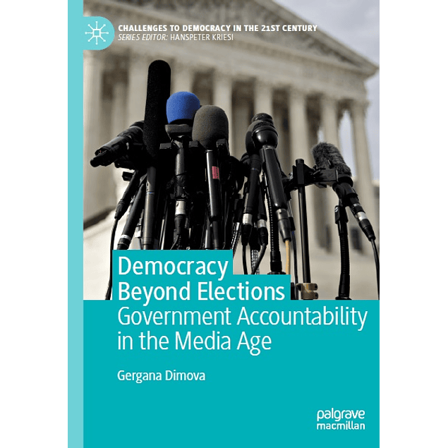 Democracy Beyond Elections: Government Accountability in the Media Age