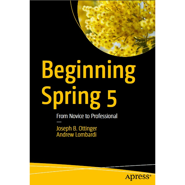 Beginning Spring 5: From Novice to Professional