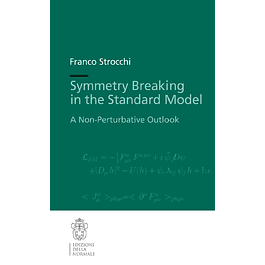 Symmetry Breaking in the Standard Model: A Non-Perturbative Outlook