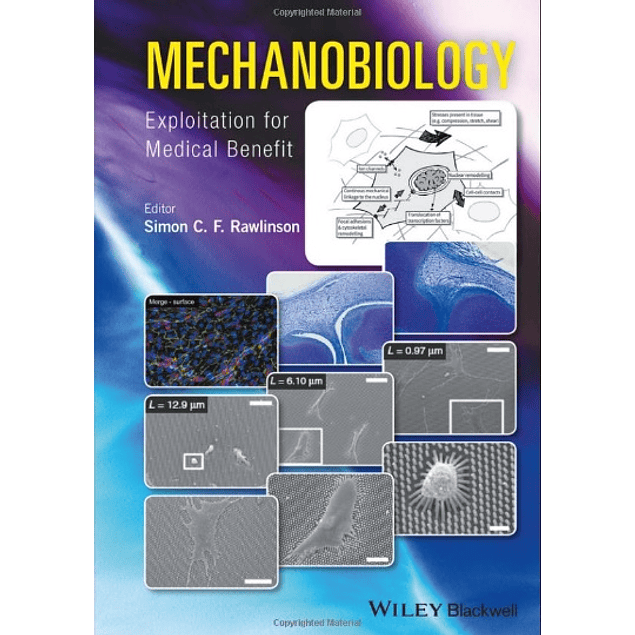 Mechanobiology: Exploitation for Medical Benefit
