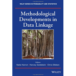 Methodological Developments in Data Linkage