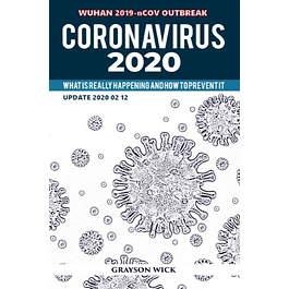 Coronavirus 2020: What is really happening and how to prevent it 