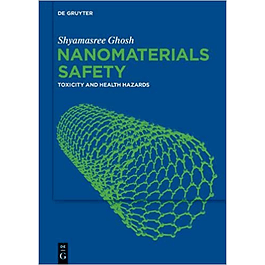 Nanomaterials Safety: Toxicity and Health Hazards