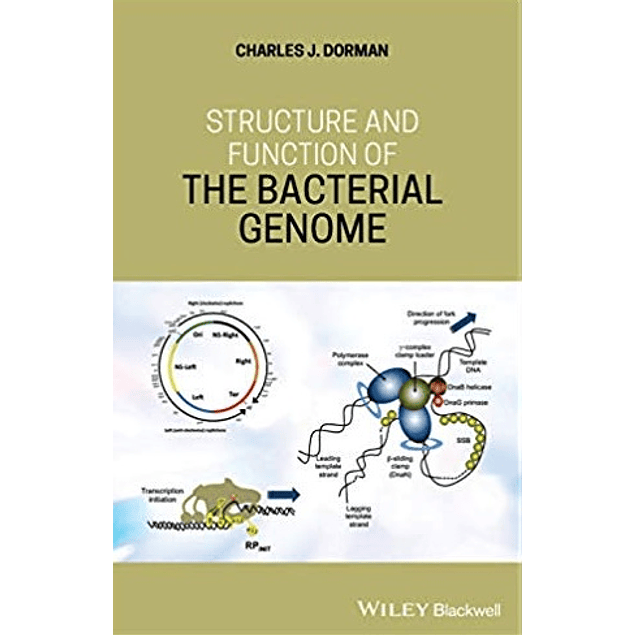 Structure and Function of the Bacterial Genome