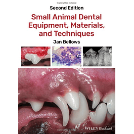 Small Animal Dental Equipment, Materials, and Techniques