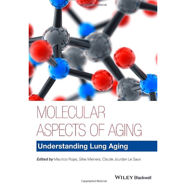  Molecular Aspects of Aging: Understanding Lung Aging 