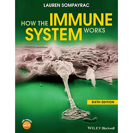 How the Immune System Works