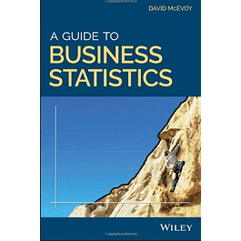 A Guide to Business Statistics
