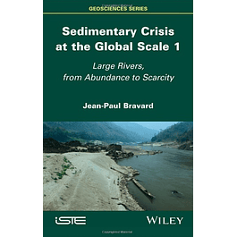 Sedimentary Crisis at the Global Scale 1: Large Rivers, From Abundance to Scarcity