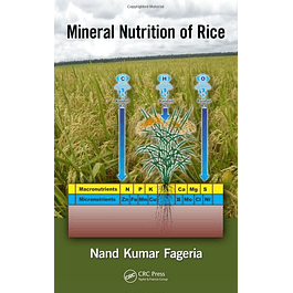  Mineral Nutrition of Rice 