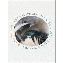 White Feathers: The Nesting Lives of Tree Swallows