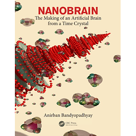  Nanobrain: The Making of an Artificial Brain from a Time Crystal 