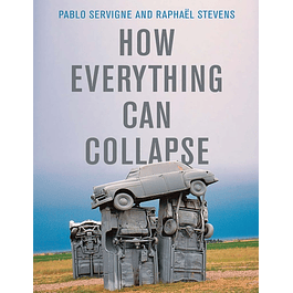  How Everything Can Collapse: A Manual for our Times 