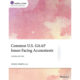 Common U.S. GAAP Issues Facing Accountants