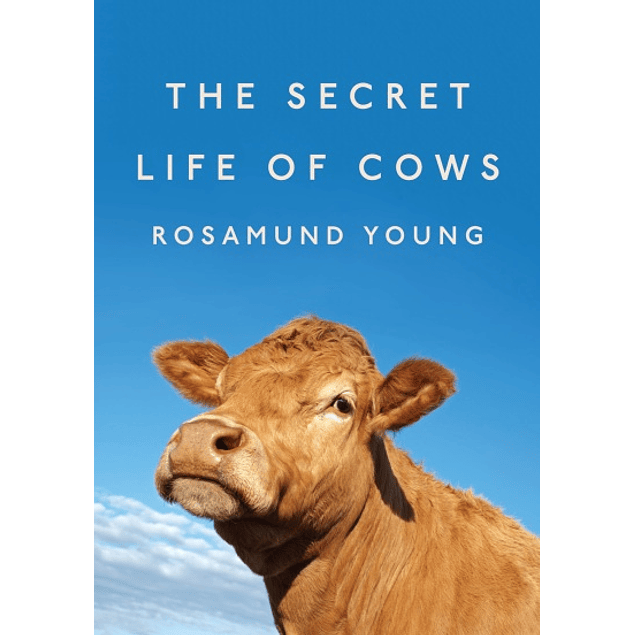 The Secret Life of Cows