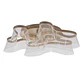 Plafond CAMILLE CCT 50W LED 2200m 2700K/4000K/6000K D.76cm Dourado - Thumbnail 2