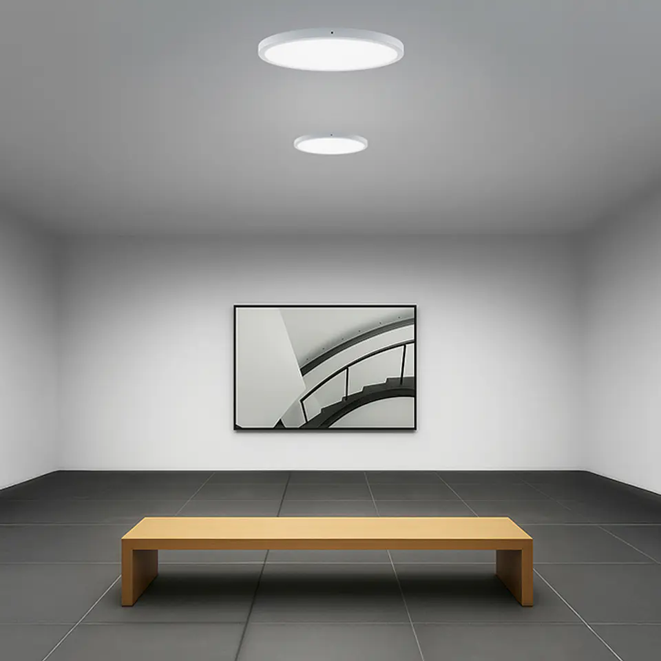 Painel de superficie ERASMUS redondo 24W LED CCT 3000/4000/6500K Alt.2,4xD.30cm branco 2